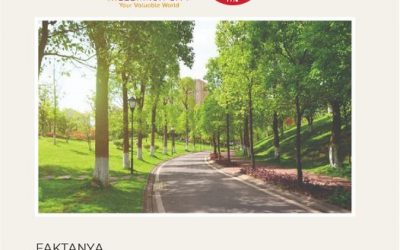 Faktanya 1 Pohon Serap 28 Ton CO2 Dalam Setahun